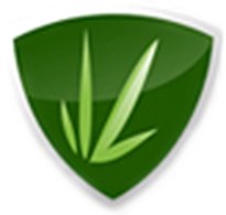 Luxury Artificial Lawns